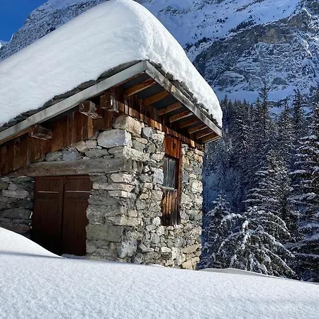 L'edelweiss Pralognan-la-Vanoise