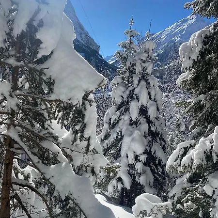 Hotel L'edelweiss Pralognan-la-Vanoise